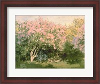 Framed Lilac in the Sun, 1873