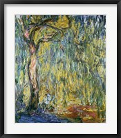 Framed Large Willow at Giverny, 1918