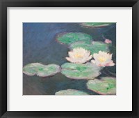 Framed Waterlilies, Evening; detail