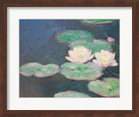 Framed Waterlilies, Evening; detail