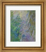 Framed Waterlilies (green & purple)