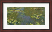 Framed Lily Pond