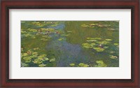 Framed Lily Pond