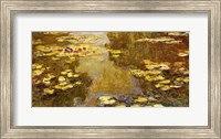Framed Lily Pond - yellow