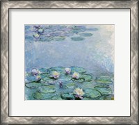 Framed Water Lilies