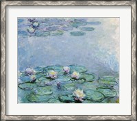 Framed Water Lilies