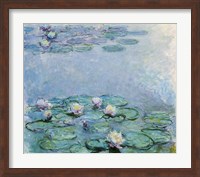 Framed Water Lilies