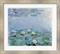 Framed Water Lilies