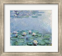 Framed Water Lilies