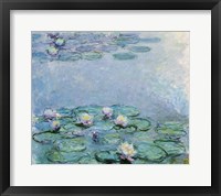 Framed Water Lilies
