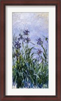 Framed Purple Irises, 1914-17