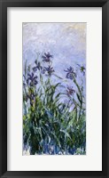 Framed Purple Irises, 1914-17