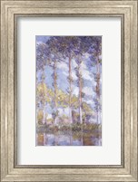 Framed Poplars, 1881