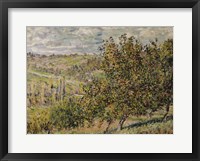 Framed Apple Blossom