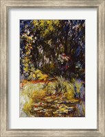 Framed Corner of a Pond with Waterlilies, 1918