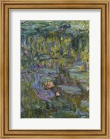 Framed Waterlilies (dark green)