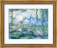 Framed Waterlilies, 1916-19