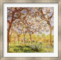 Framed Spring at Giverny