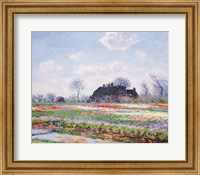 Framed Tulip Fields at Sassenheim, near Leiden, 1886