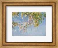 Framed Wisteria - blue