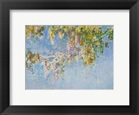 Framed Wisteria - blue