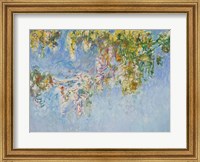 Framed Wisteria - blue