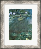 Framed Water-Lilies