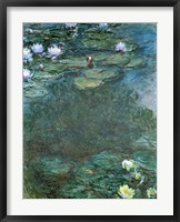 Framed Water-Lilies