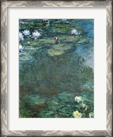 Framed Water-Lilies