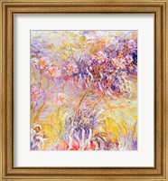 Framed Impression: Flowers