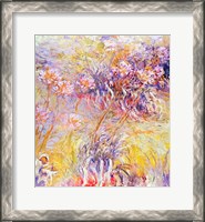 Framed Impression: Flowers