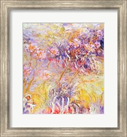 Framed Impression: Flowers