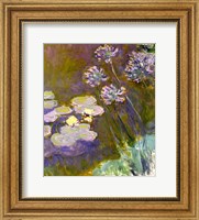 Framed Waterlilies and Agapanthus, 1914-17