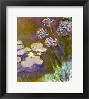 Framed Waterlilies and Agapanthus, 1914-17