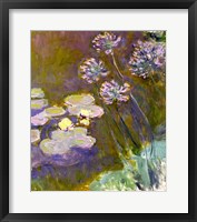 Framed Waterlilies and Agapanthus, 1914-17