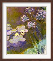 Framed Waterlilies and Agapanthus, 1914-17