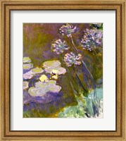 Framed Waterlilies and Agapanthus, 1914-17