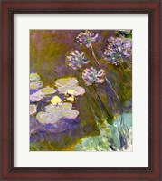 Framed Waterlilies and Agapanthus, 1914-17