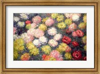 Framed Chrysanthemums, 1897