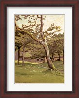 Framed Orchard