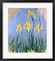 Framed Yellow Irises, c.1918-25