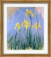 Framed Yellow Irises, c.1918-25