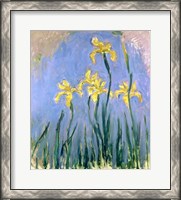 Framed Yellow Irises, c.1918-25