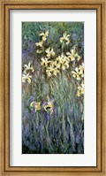 Framed Yellow Irises