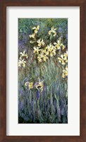 Framed Yellow Irises