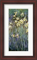Framed Yellow Irises