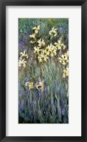 Framed Yellow Irises