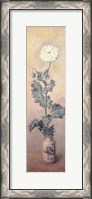 Framed White Poppy, 1883