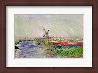 Framed Tulip Field in Holland