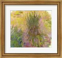 Framed Waterlilies (yellow)